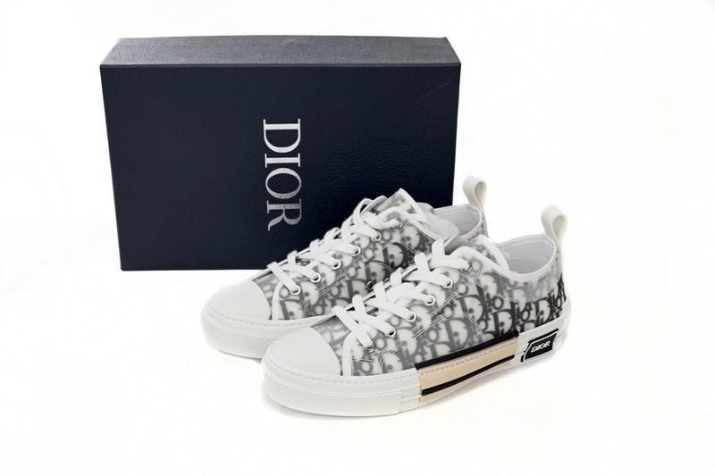 DIOR B23