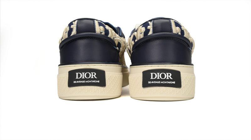 DIOR B33