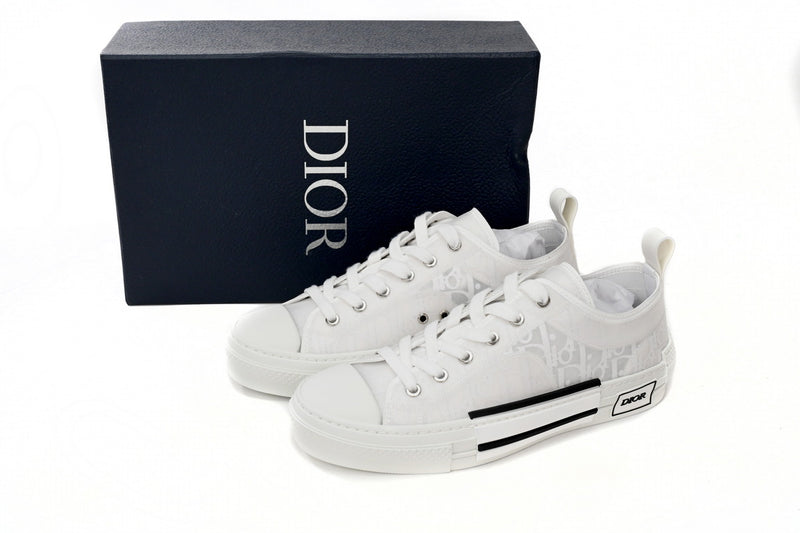 DIOR B23