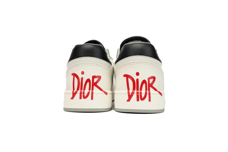 DIOR B27