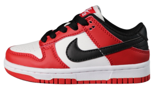 NIKE DUNK KIDS