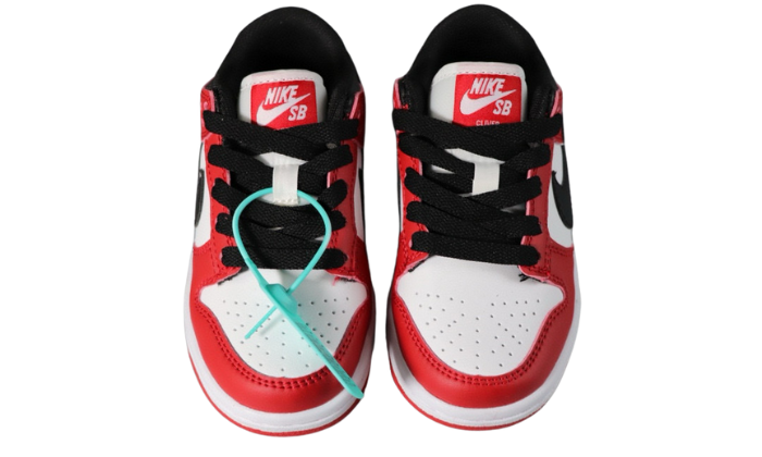 NIKE DUNK KIDS