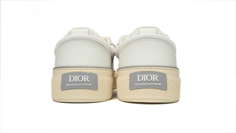 DIOR B33