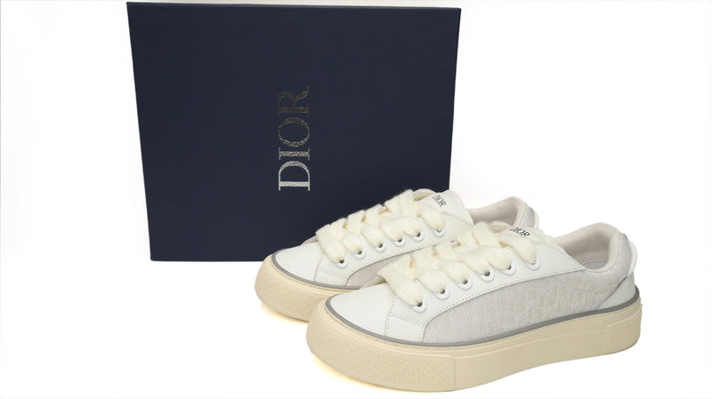 DIOR B33