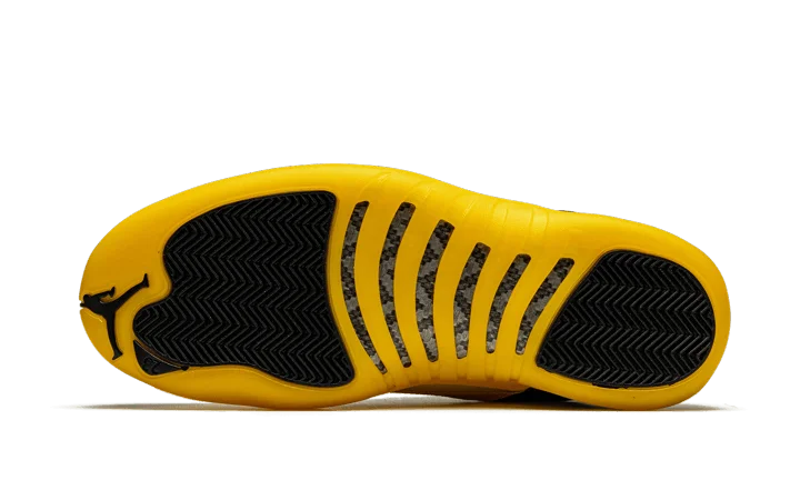 Black University Gold