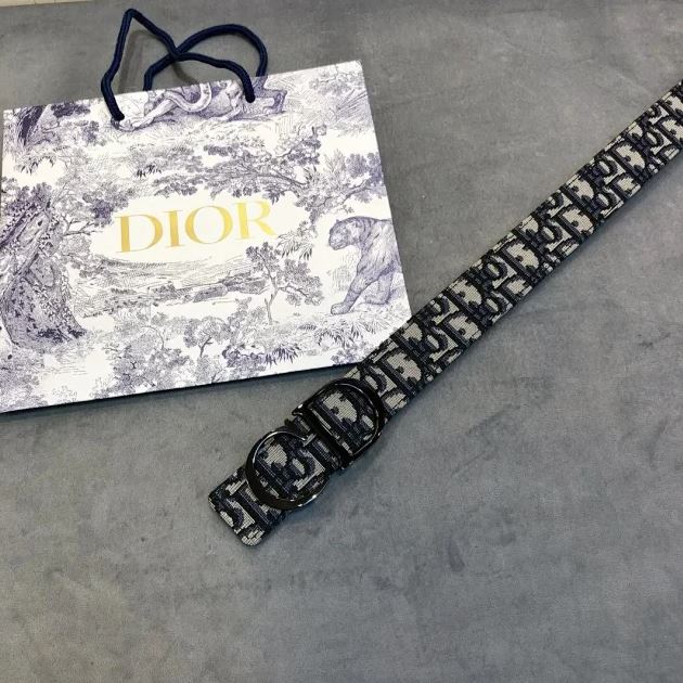 DIOR BELT