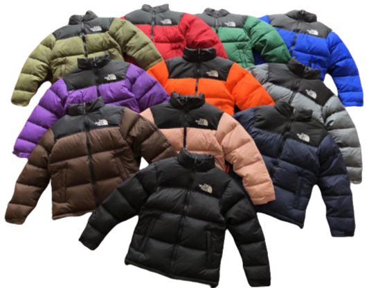 JACKET THE NORTH FACE