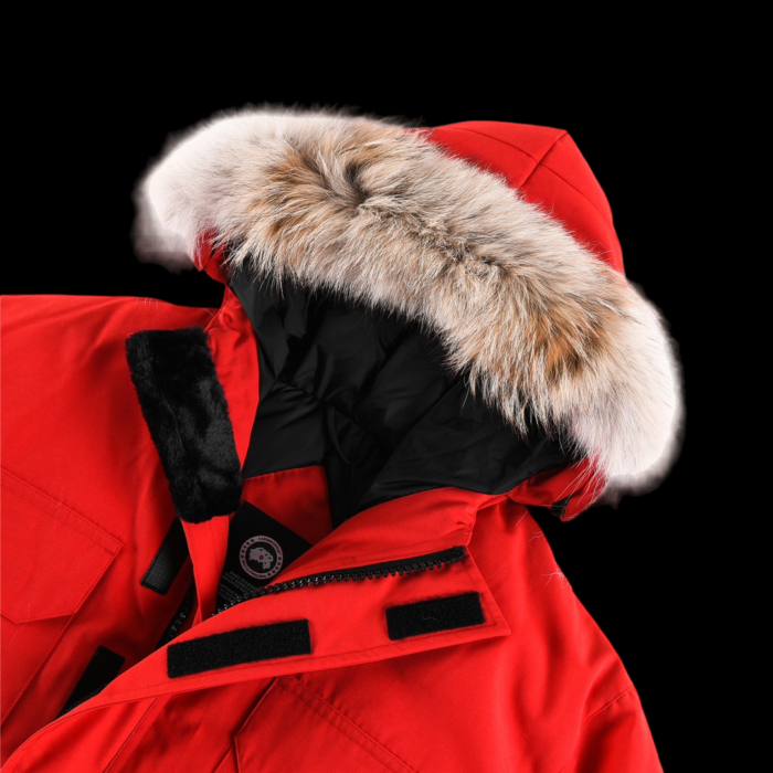 Jacket - Image 4