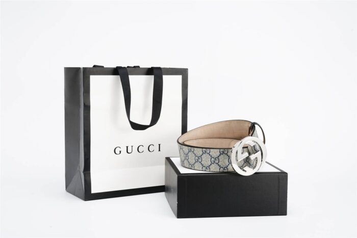 Belt - Image 2