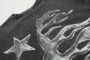 T-shirt - Image 4