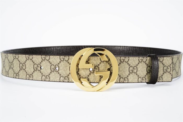 Belt - Image 3