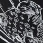 T-shirt - Image 6