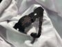 Hoodie - Image 7