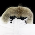 Jacket - Image 3