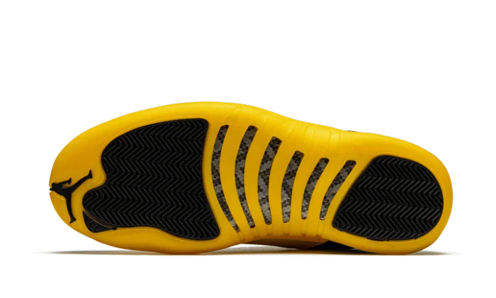 Black University Gold - Image 4