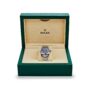 Sky-Dweller 336934 Steel Blue Dial Oyster (2024) - Image 2
